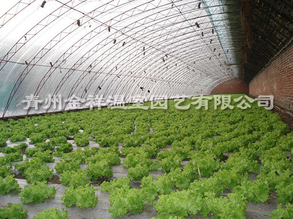 日光溫室的采光設計